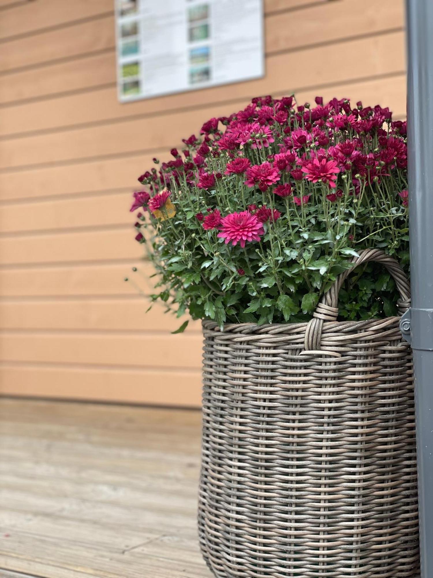 Bestes Apartamenti Koceni Zewnętrze zdjęcie