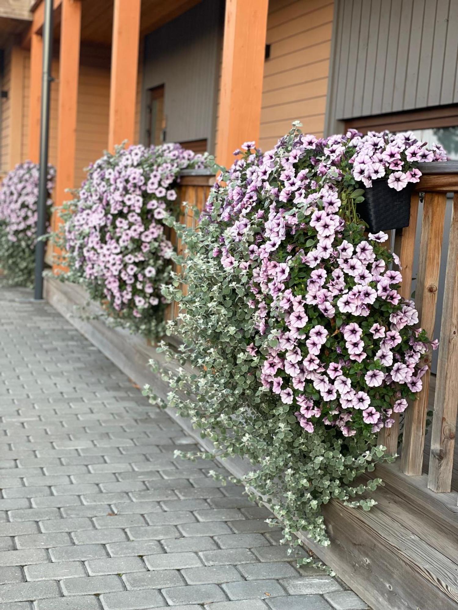 Bestes Apartamenti Koceni Zewnętrze zdjęcie